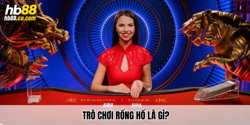 Trò chơi rồng hổ là gì?